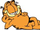 :garfield: