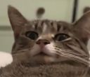 :chat_wtf_3: