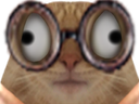 :chat_strabisme: