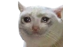 :Chatriste_: