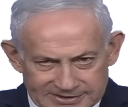 :netanyahou_zoom:
