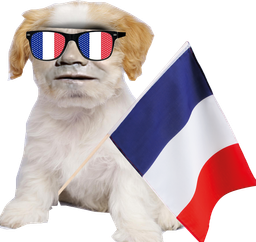 :Chien_Bourdon_France_supporter: