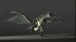 :Dragon_dance: