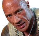 :the_rock_vener1: