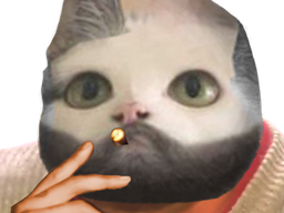 :chat_clope_: