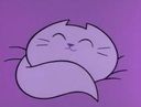 :chat_mignon_dort: