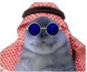 :Phoque_saoudien_notreadyent: