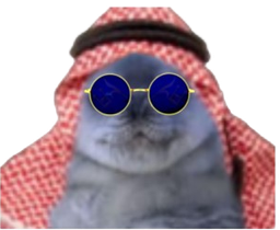 :Phoque_saoudien_notreadyent: