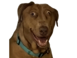 :Teddi-Triso: