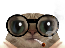 :chatserieux: