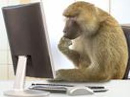 :Monkey_bullshitJob: