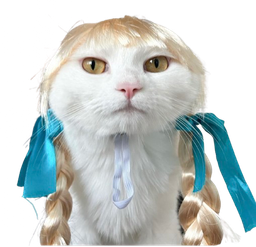 :Coquette_chat: