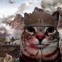 :chat_militaire: