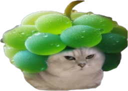 :chatbrushingraisin: