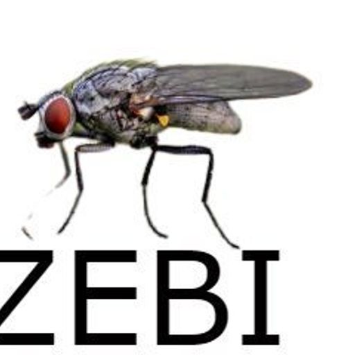 jdjisudhdhzhsj