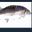 Photo de profil de FishiteLeSecond