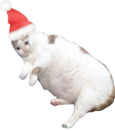:Chat_noel_1: