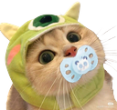 :Chaat_bonnet_tetine: