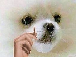 :pause_lucky_strikent: