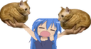 :Double_chamain: