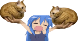 :Double_chamain: