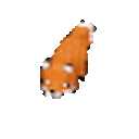:foxspin: