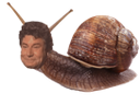 :jesus_escargot: