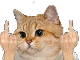 :chat_fuck: