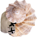 :deadkot2: