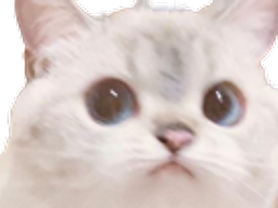 :cute1: