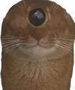 :Nyaclope:
