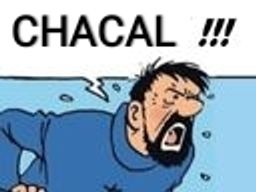 :Haddock_chacal: