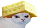 :chat_fromage: