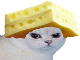 :chat_fromage: