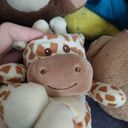 :Girafe: