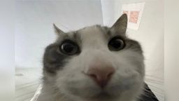 :hello_33: