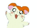 :GIF: