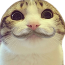 :chat_marrant_moustache: