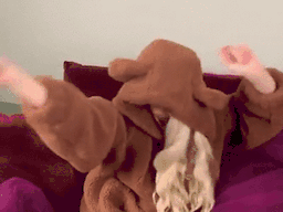 :AnyaBearDance: