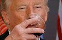 :Trump7: