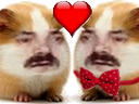 :Hamstamour: