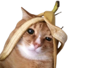 :ChatBanana:
