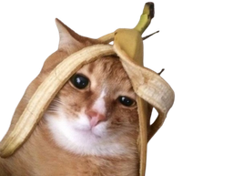 :ChatBanana: