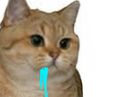:sodium_bave:
