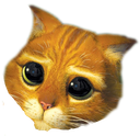 :chat_potte: