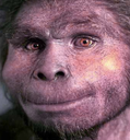 :homo_erection: