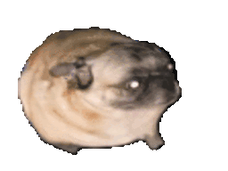 :chien_danse: