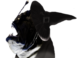 :fdv_poisson: