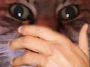 :chat_zoom_main_miroir: