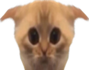 :Chatlimitetimide: